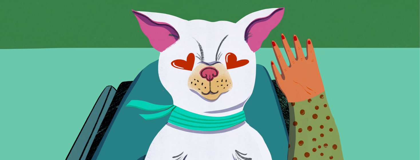 A dog is sitting on the lap of someone in a wheelchair.