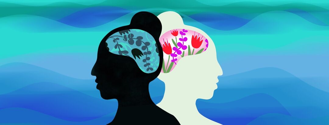 Two silhouettes of a head sitting back to back. One of the brains has vibrant colorful flowers, while the other includes dark and wilted flowers.