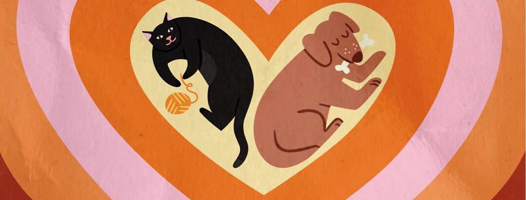 A black cat looks up from a heart shaped rug while a dog is napping.